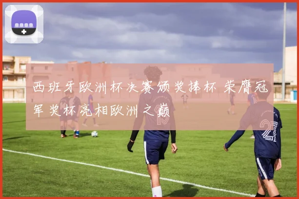 西班牙欧洲杯决赛颁奖捧杯 荣膺冠军奖杯亮相欧洲之巅